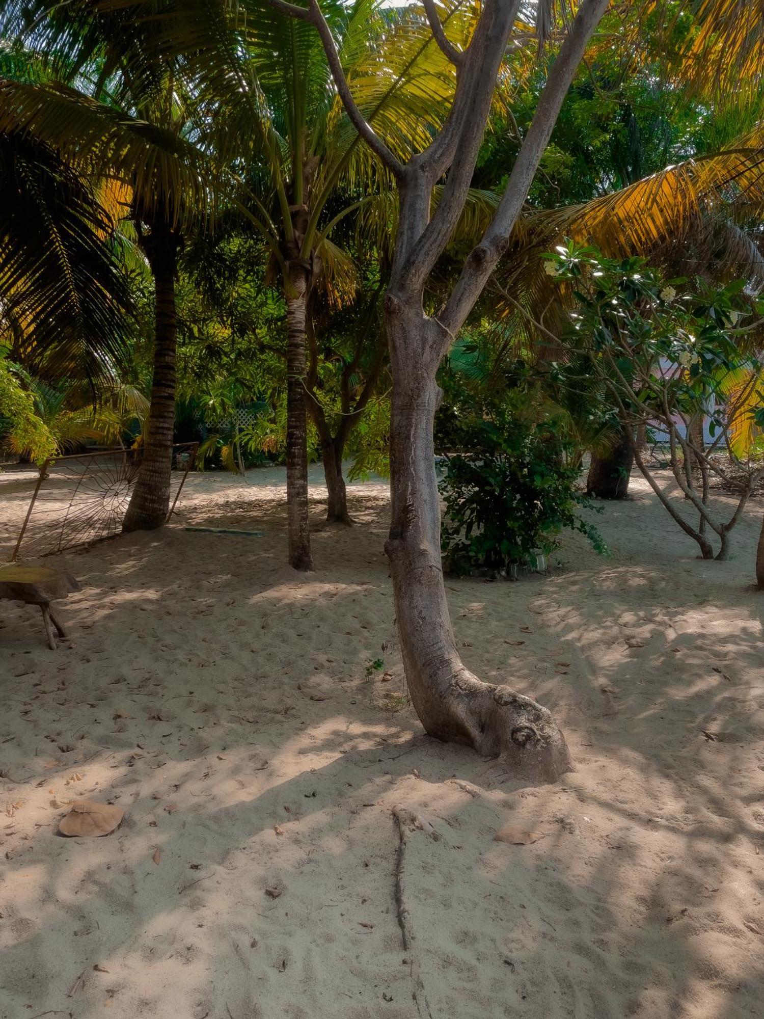 Anda Di Hows Hostel Placencia