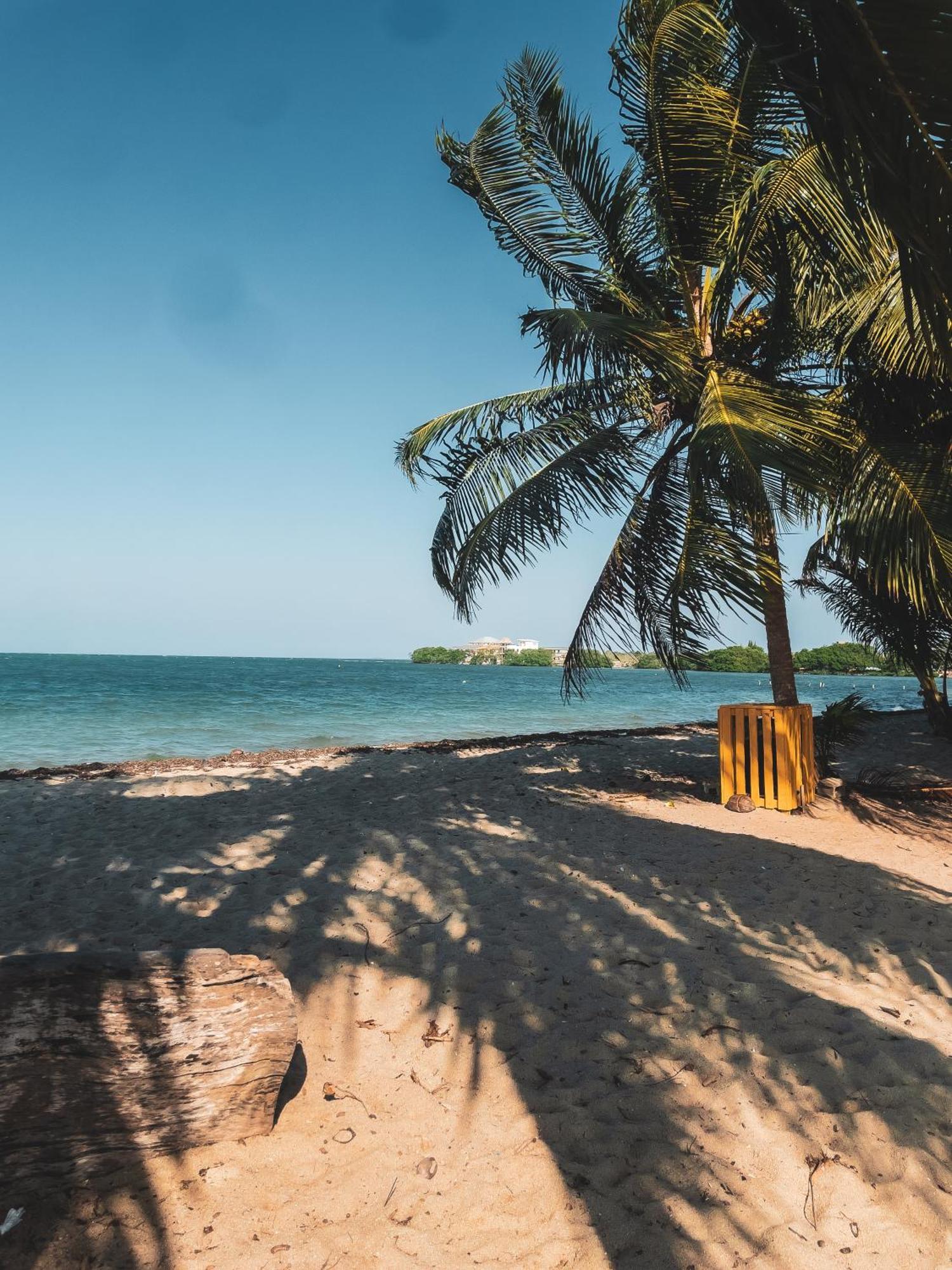 Anda Di Hows Placencia
