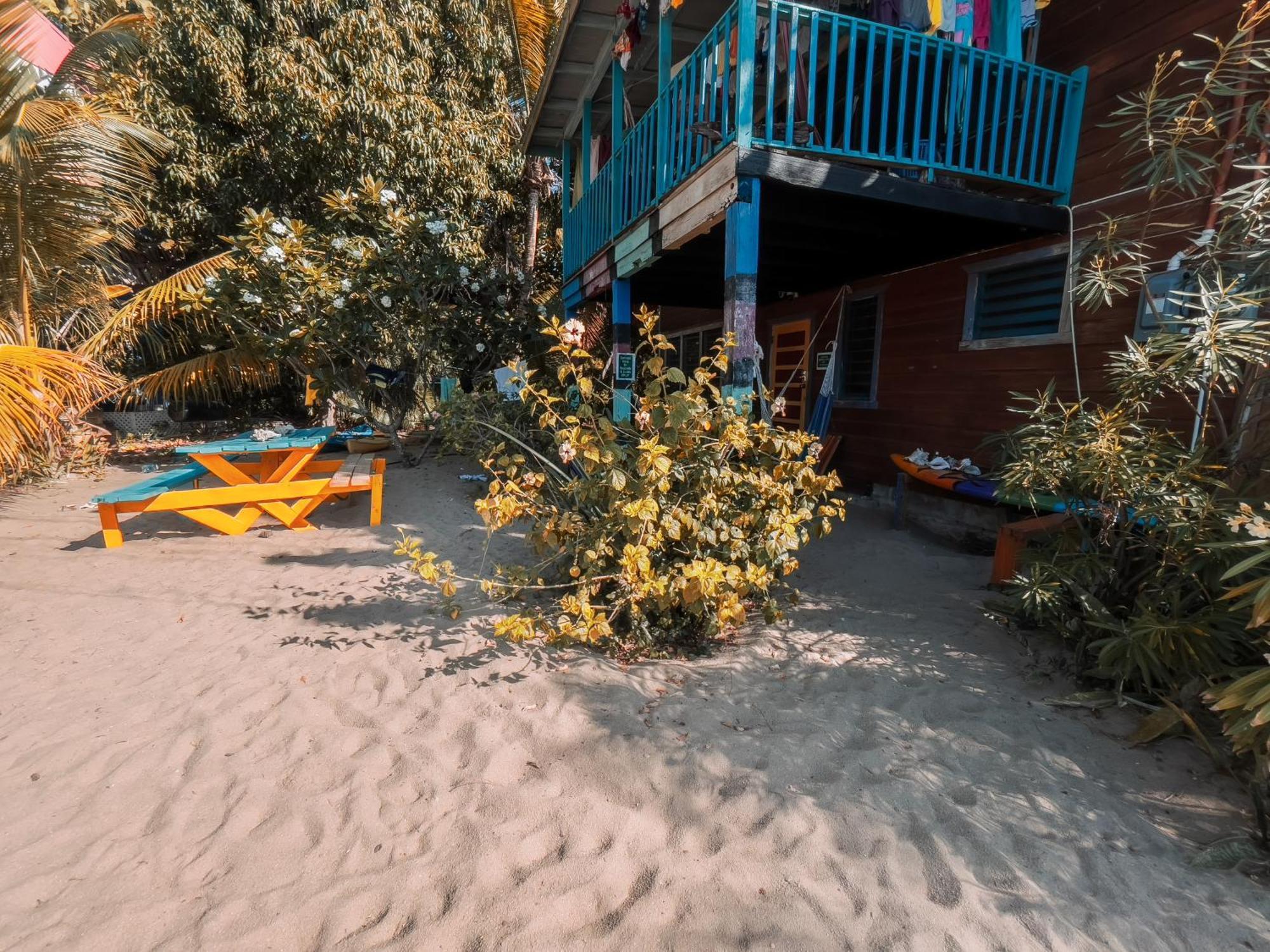 Anda Di Hows * Placencia