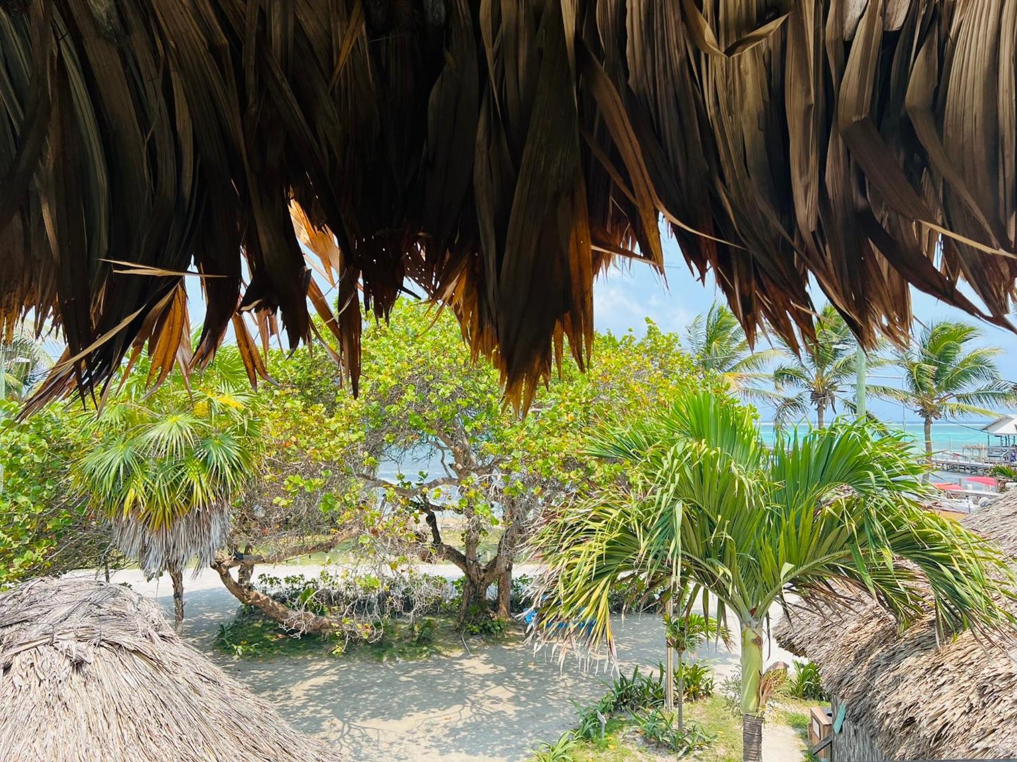 Hotel Del Rio 2*