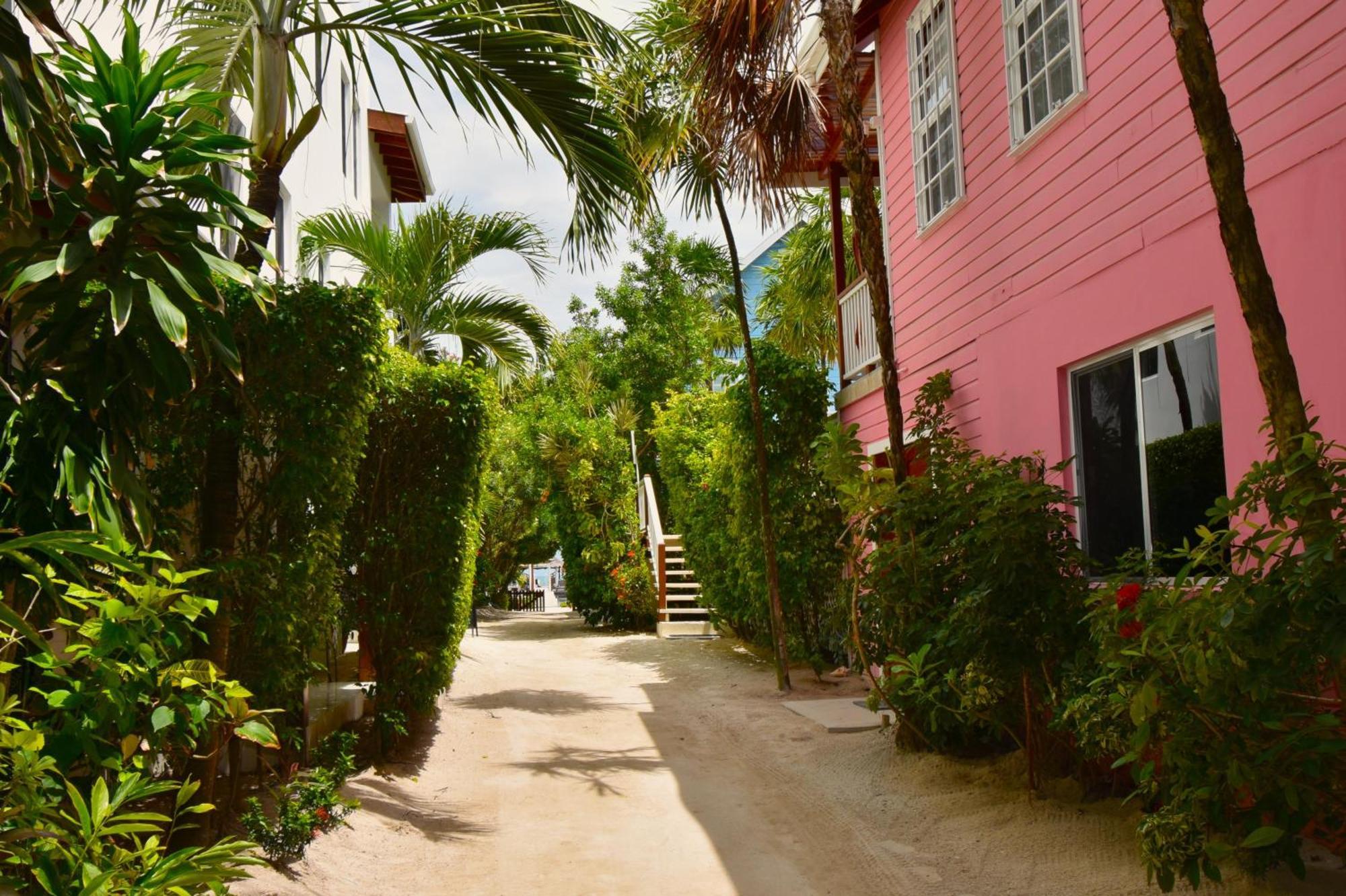 Palmetto Garden Caye Caulker