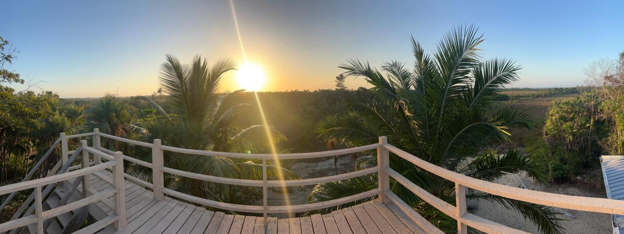 Sabal Punta Gorda