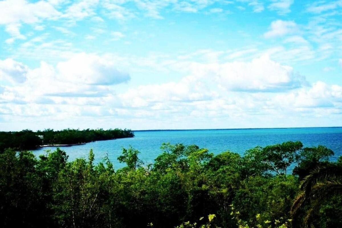 Belize Waterside Sea View With Infinity Pool & Overwater Deck *