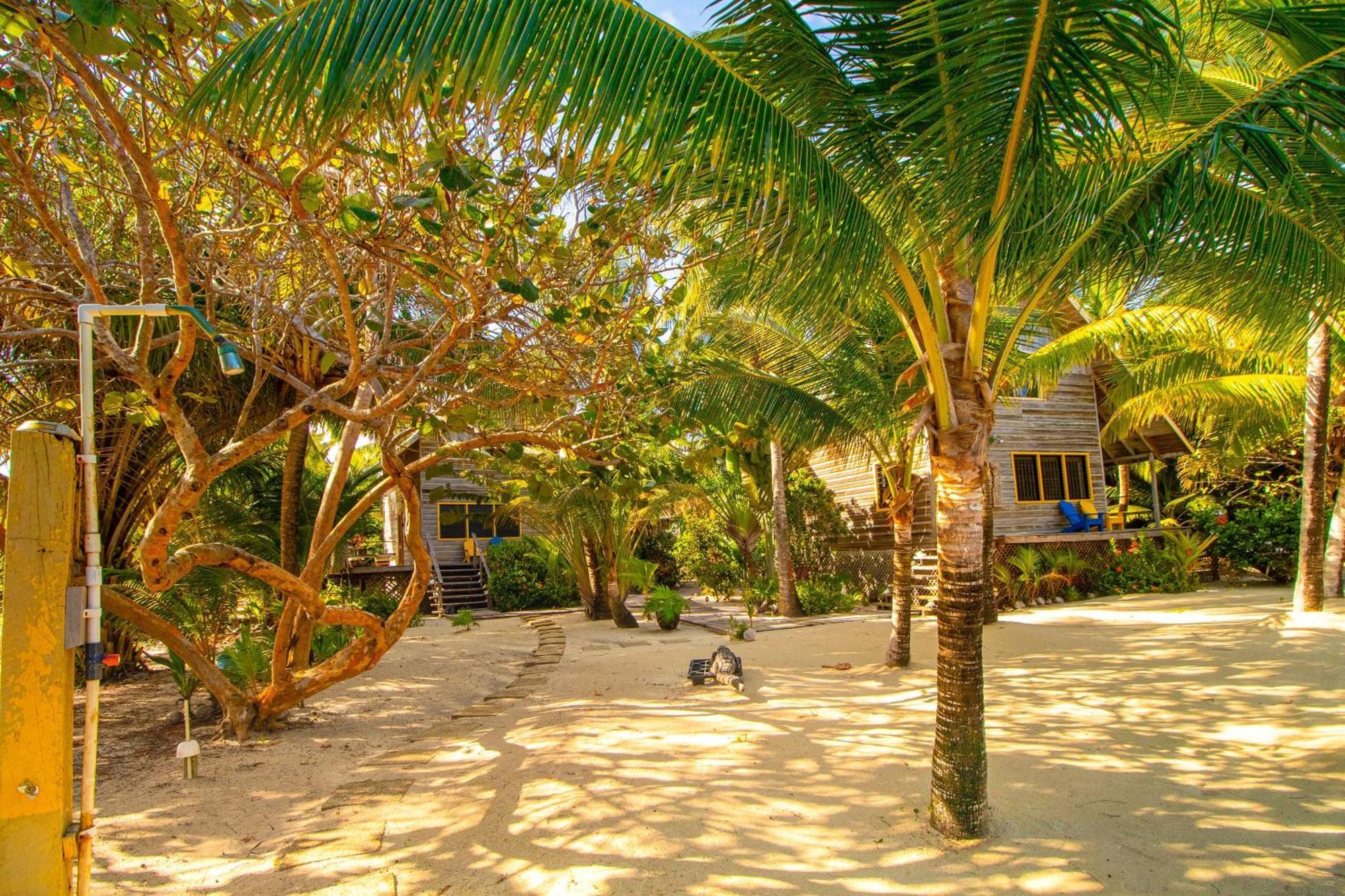 Oceans Edge * Placencia