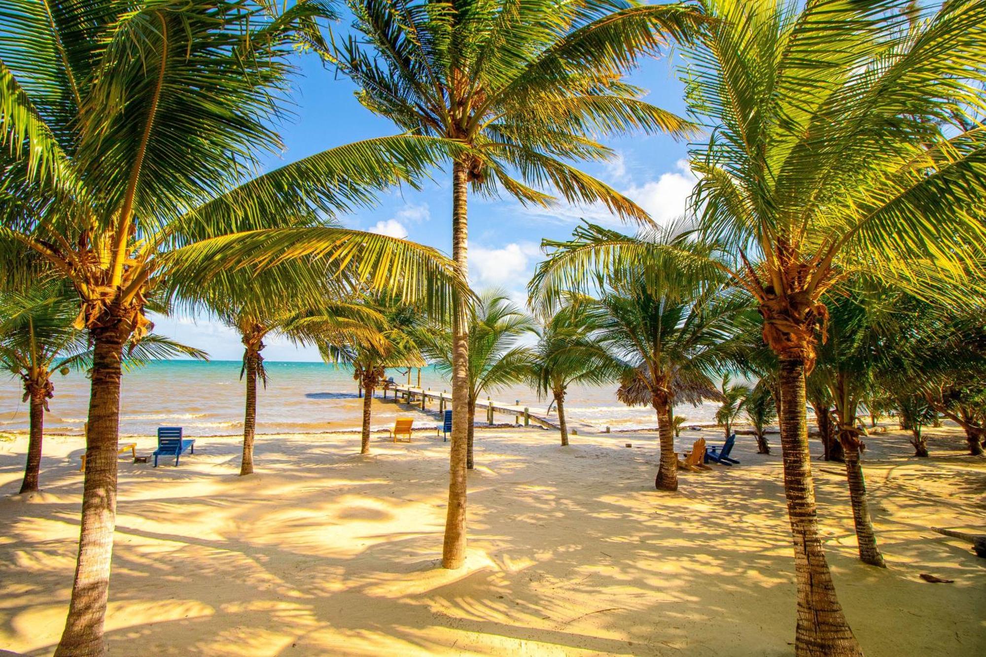 Oceans Edge * Placencia