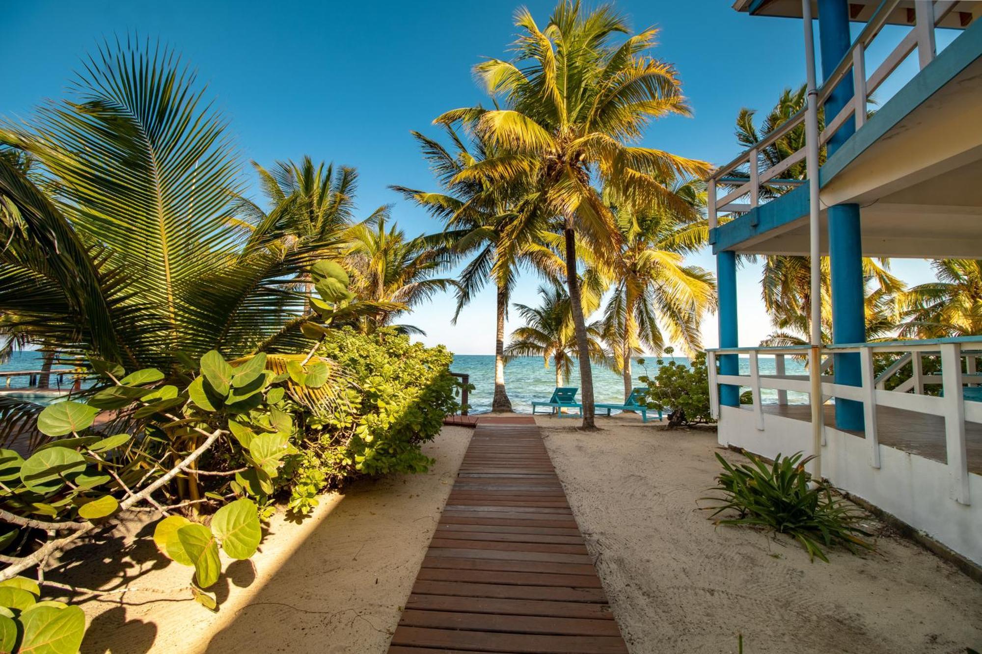Beachside Gold Standard Certified Placencia