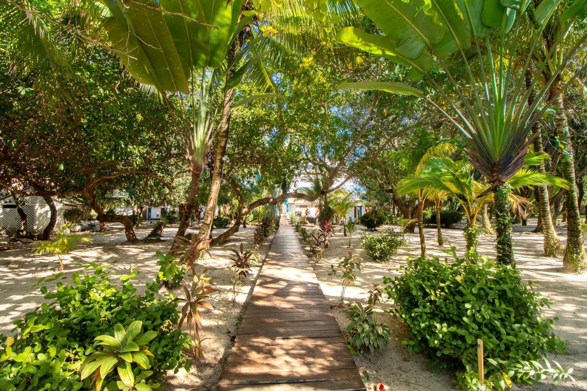 Beachside Gold Standard Certified * Placencia