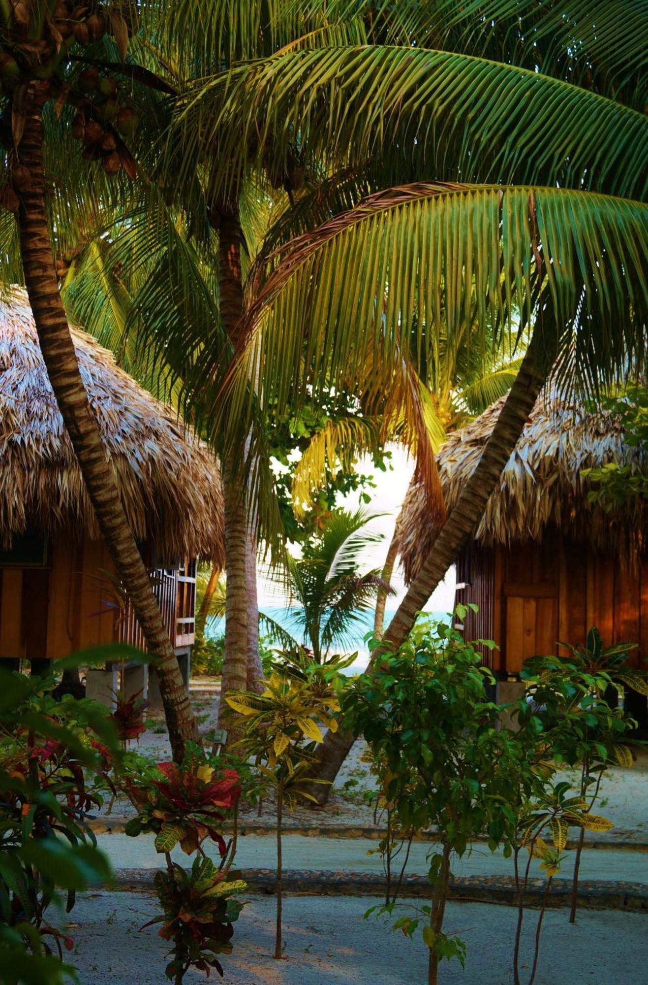 St. George's Caye 3* Belize City