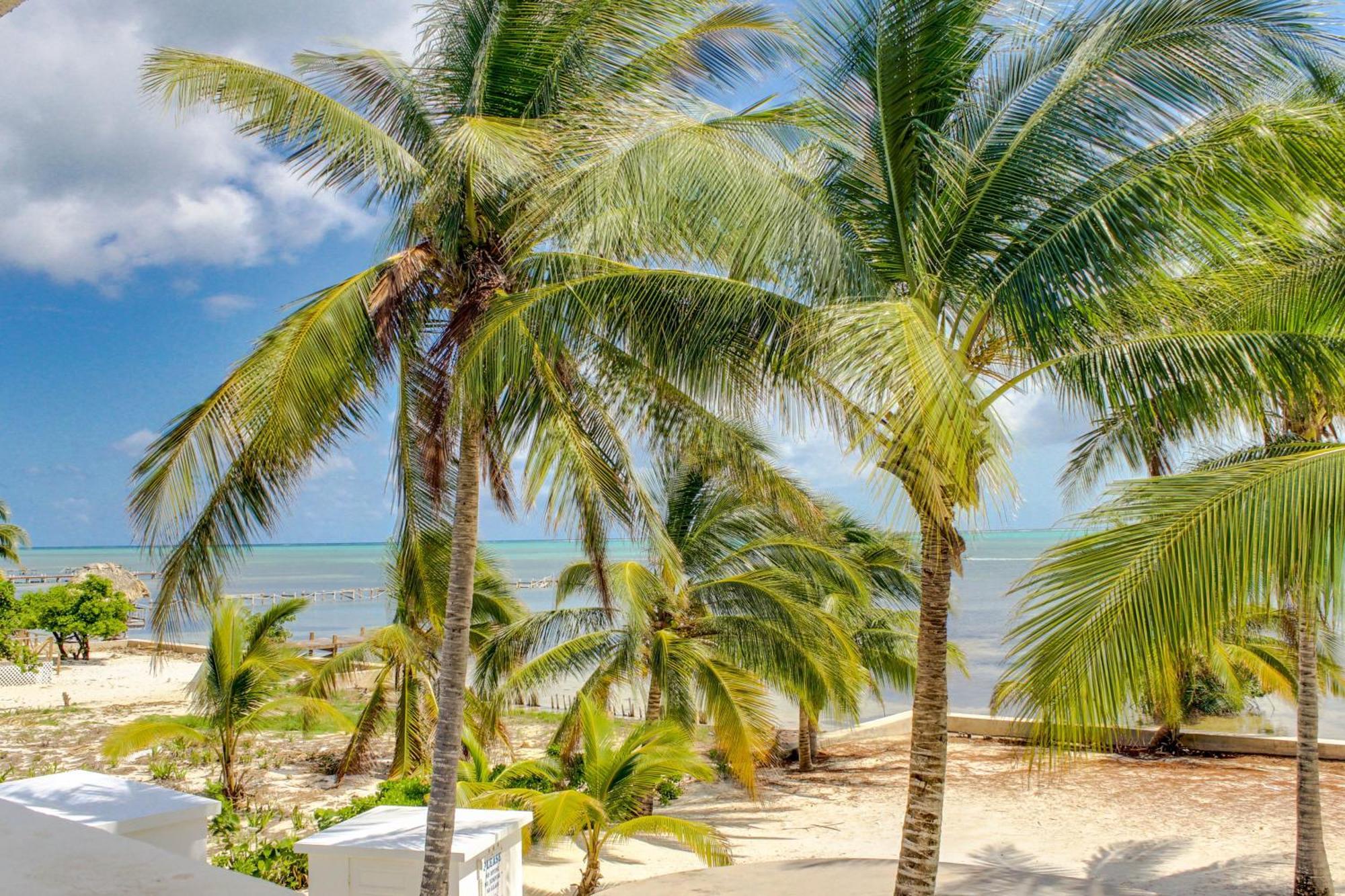 Villa View The Blue San Pedro (Ambergris Caye)