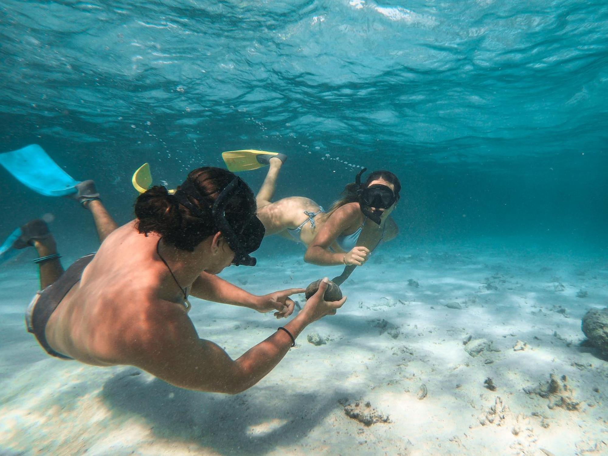 Hotel Sunbreeze San Pedro (Ambergris Caye)