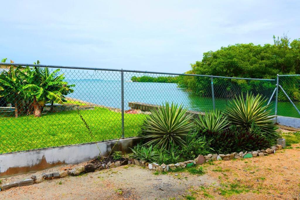 See Belize Tranquil Sea View Studio With Balcony, Infinity Pool & Overwater Deck Belize City