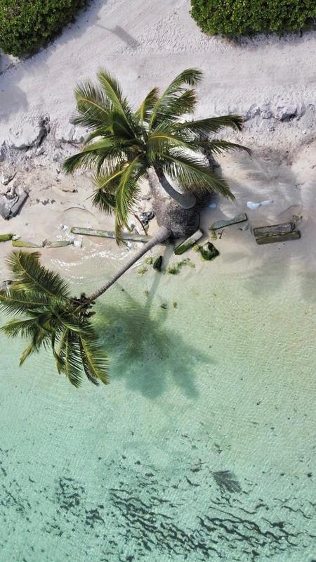 Belize Dive Haven & Marina Resort Turneffe Atoll