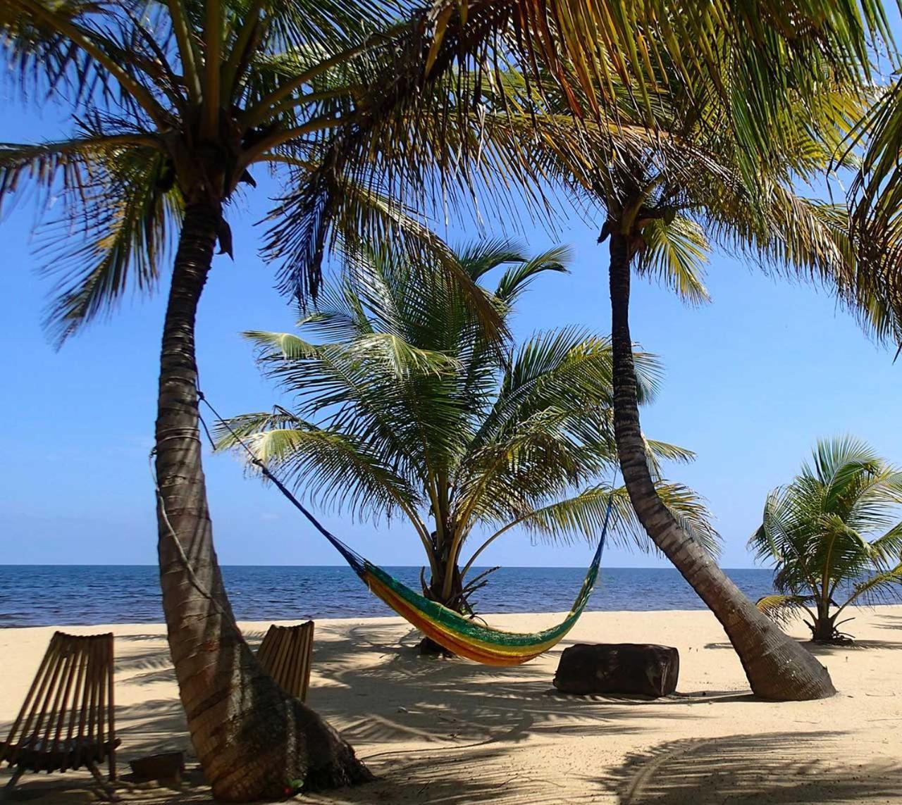Sabal Punta Gorda