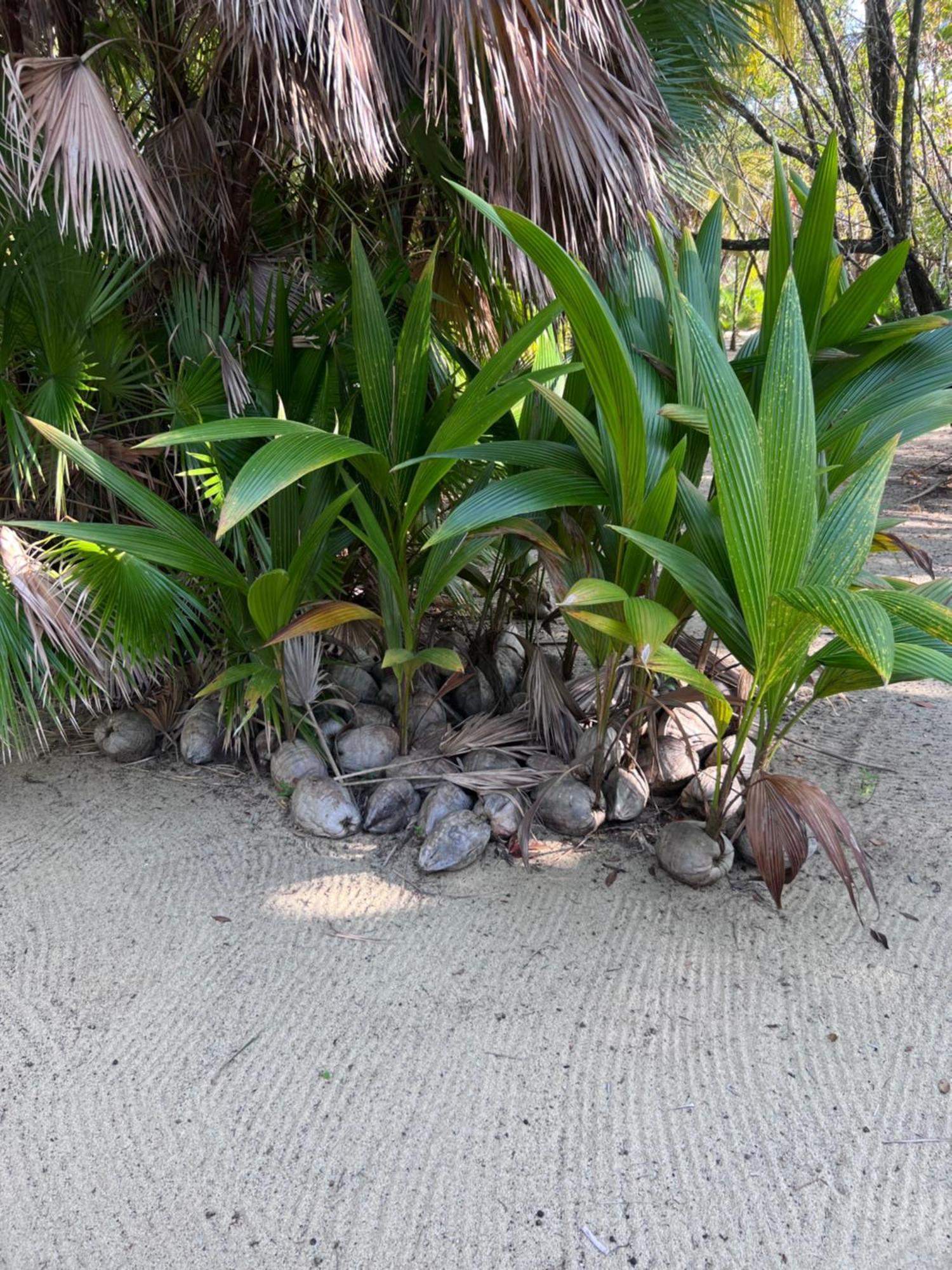 Sabal Holiday home