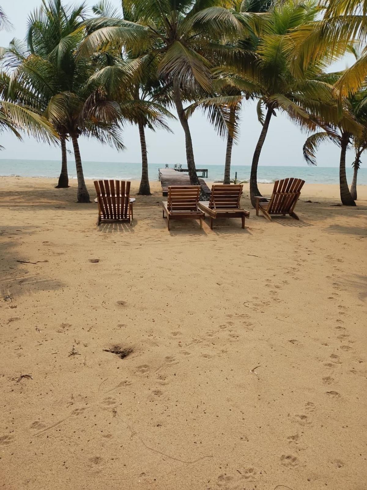 Sabal * Punta Gorda
