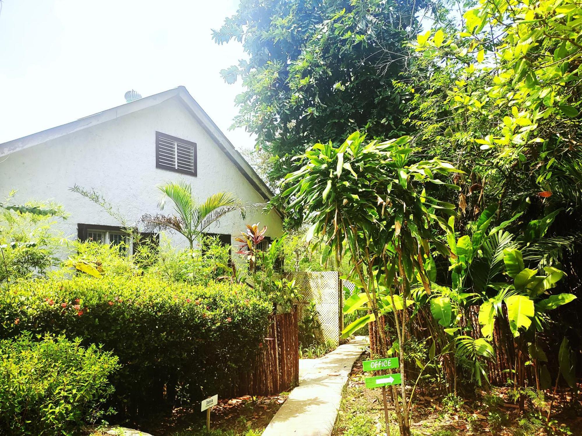 Lodge Maya Mountain San Ignacio