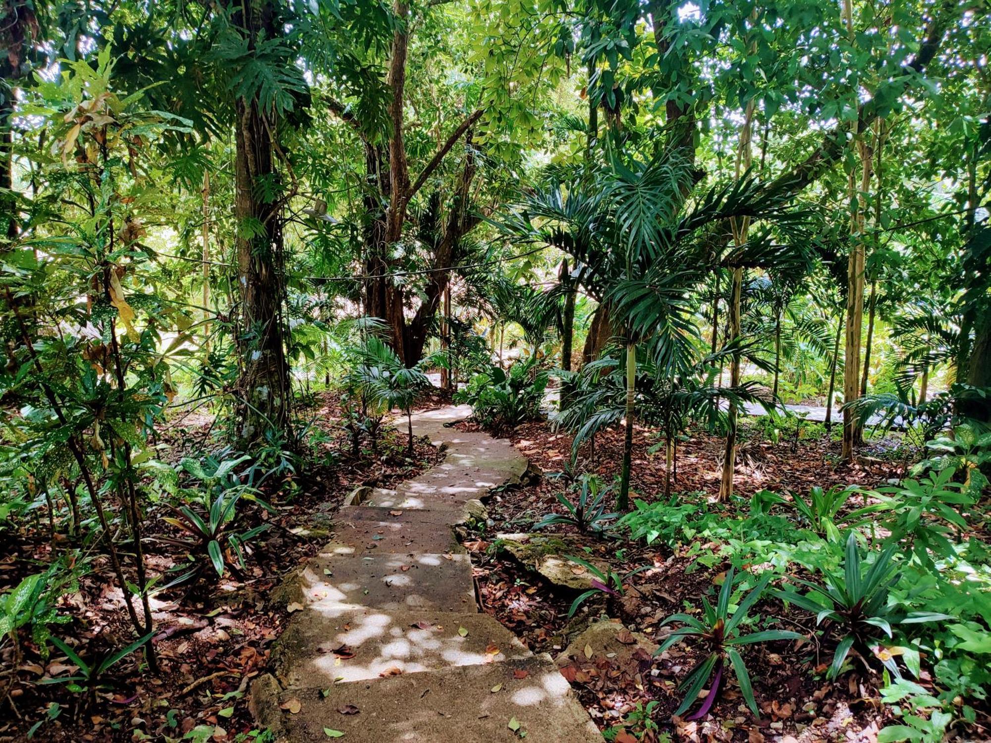 Maya Mountain