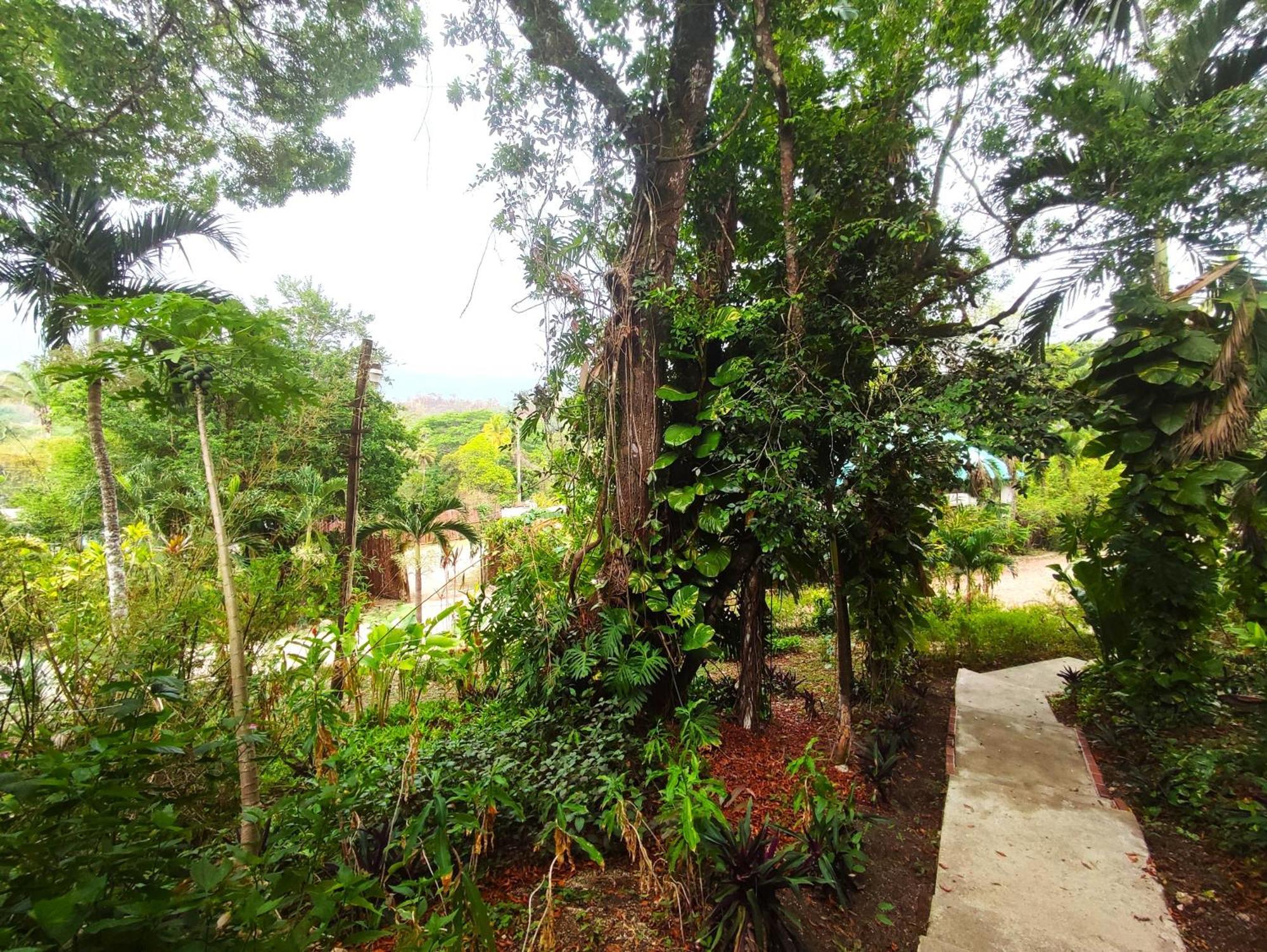 Maya Mountain Lodge *