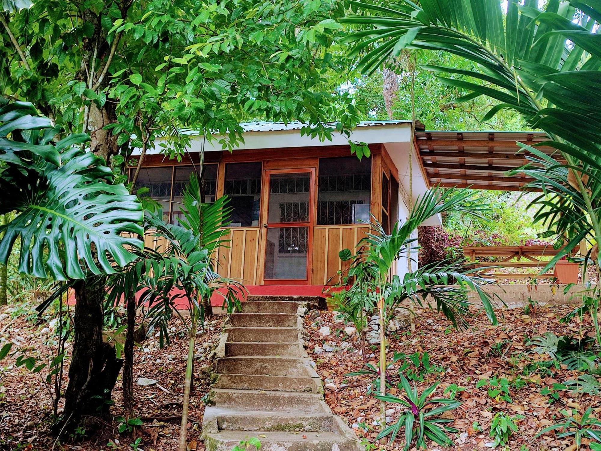 Lodge Maya Mountain *
