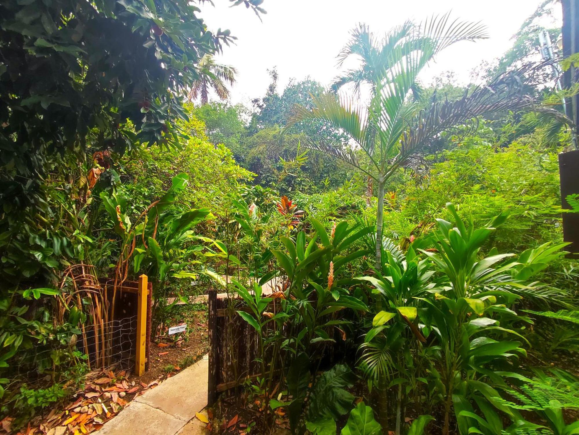 Maya Mountain San Ignacio