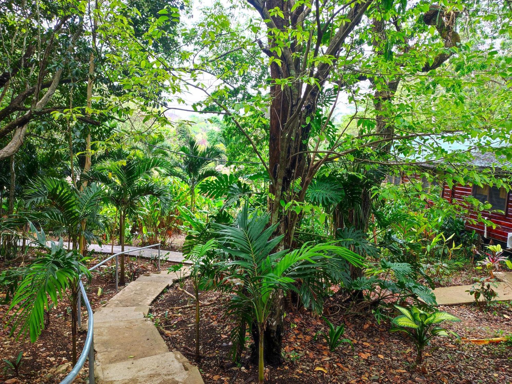 Maya Mountain