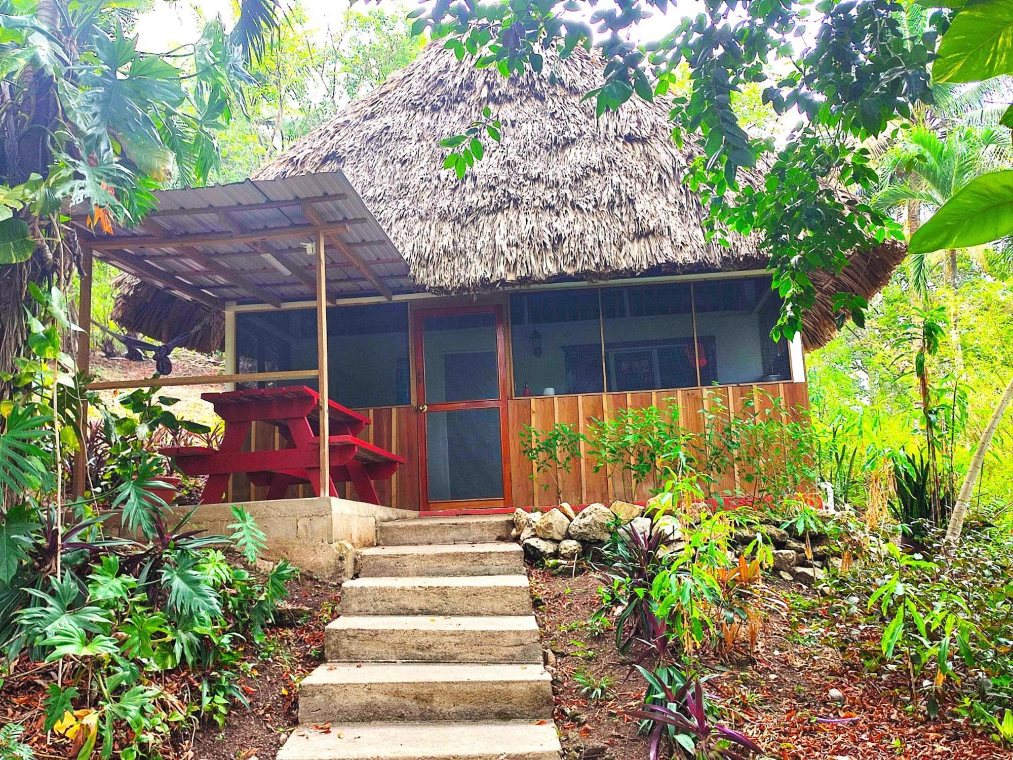 Maya Mountain Lodge