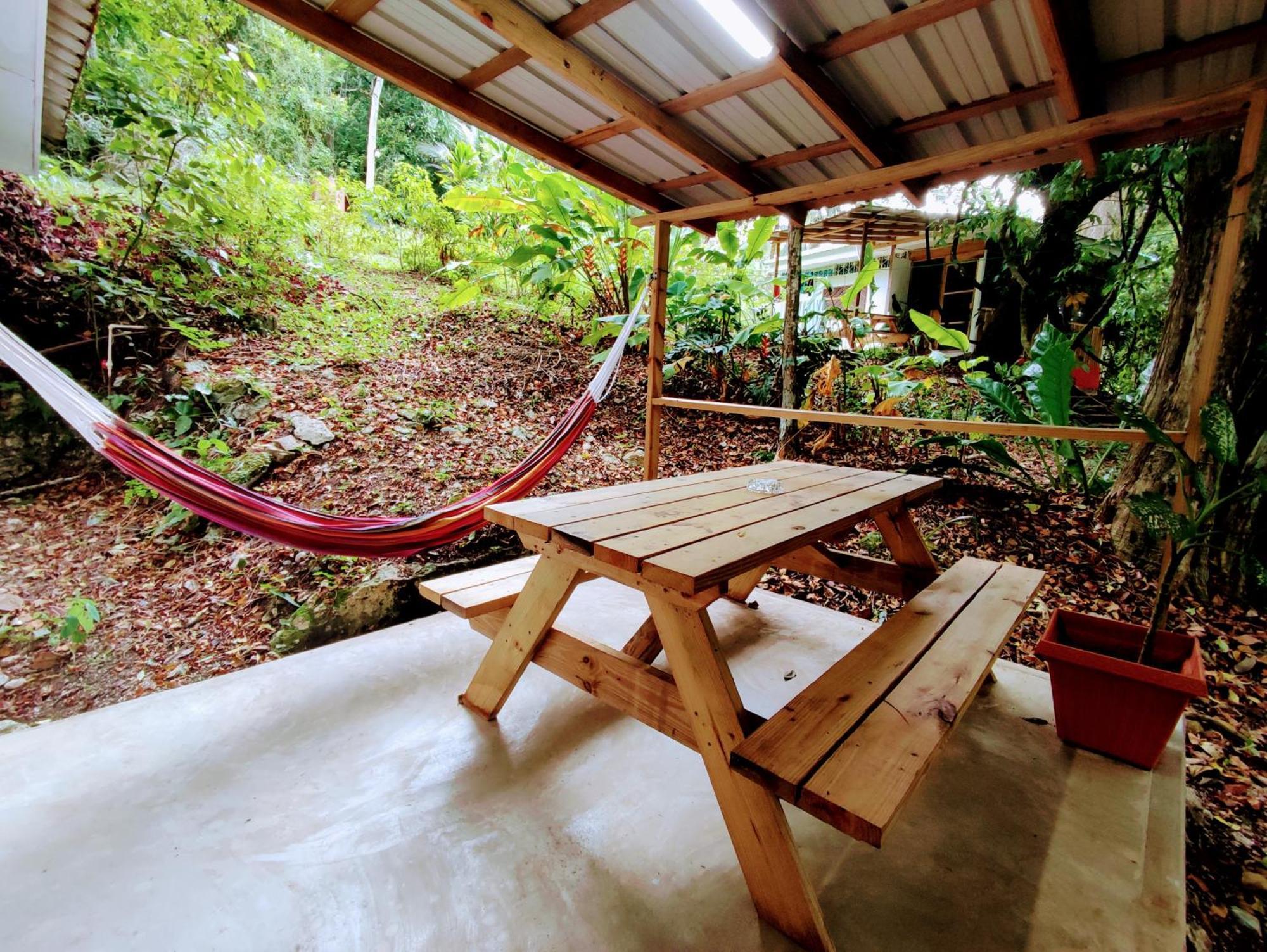 Lodge Maya Mountain