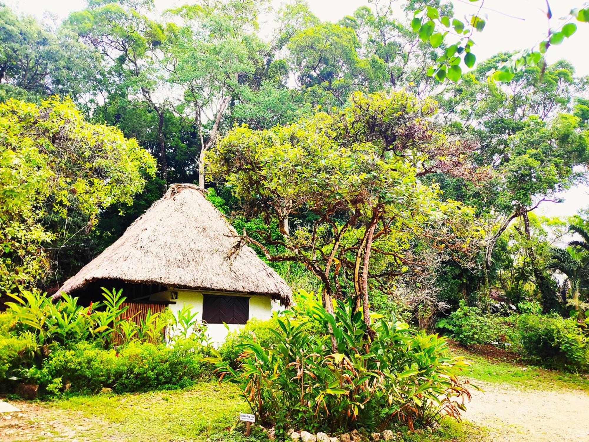 Maya Mountain Lodge *