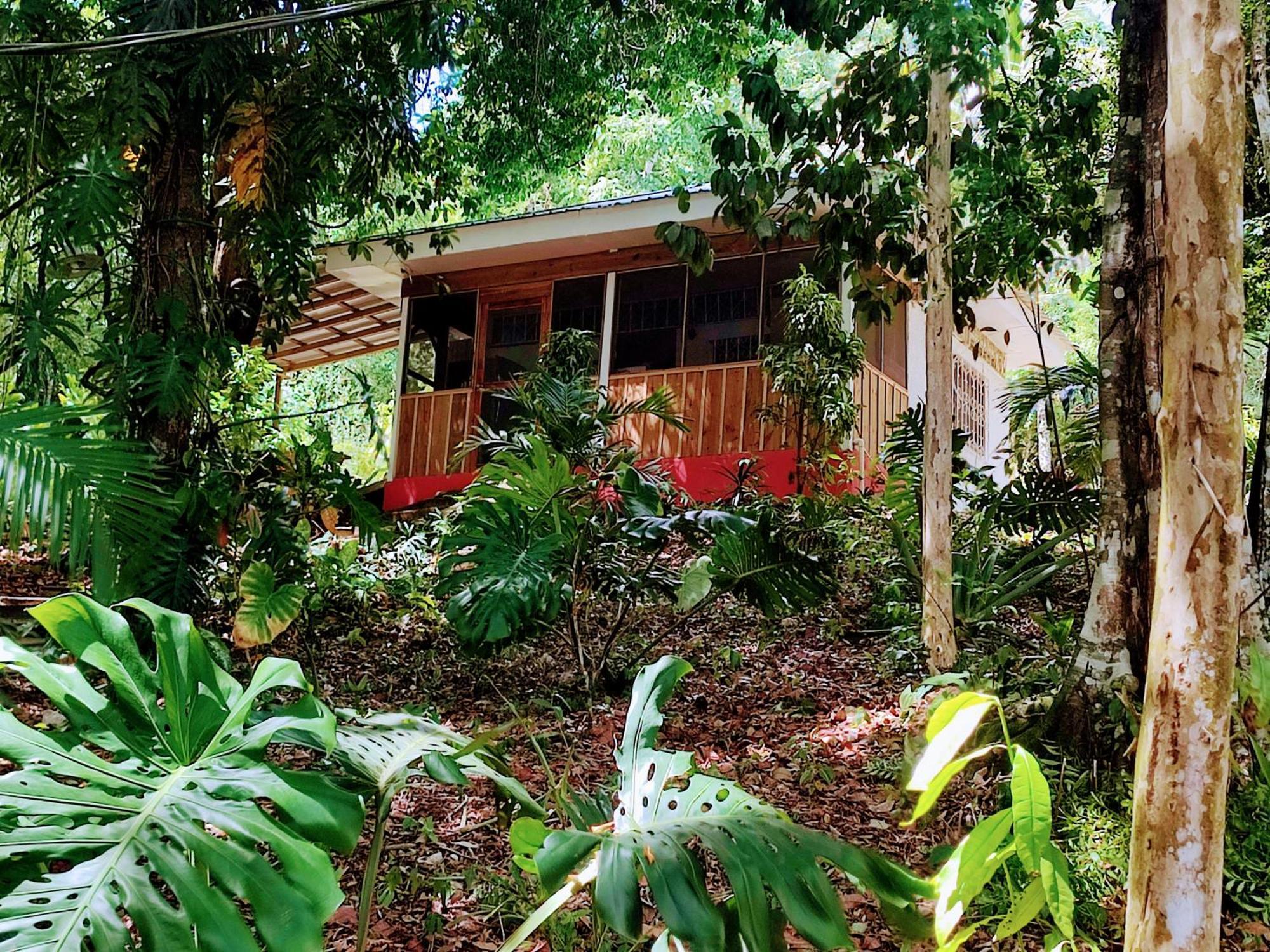 Maya Mountain Lodge *