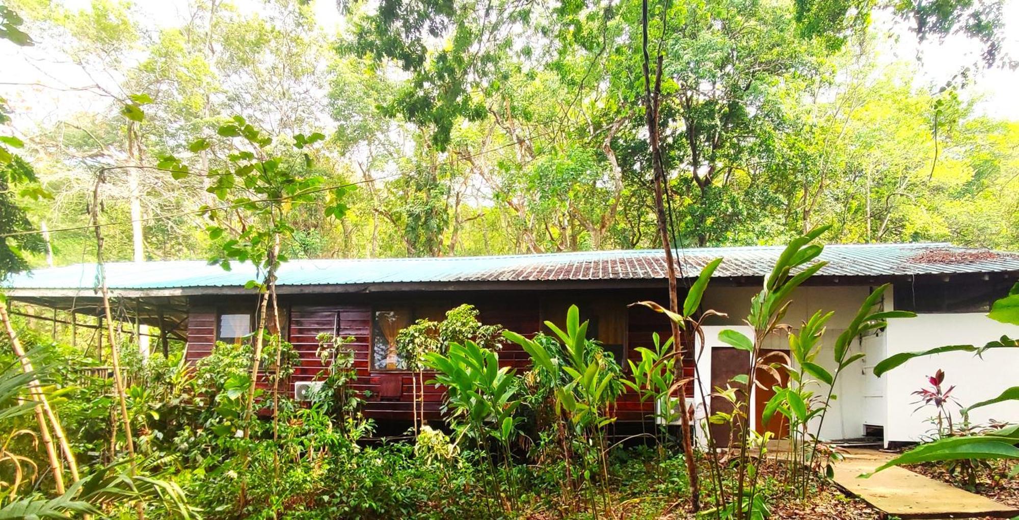 Maya Mountain Lodge San Ignacio