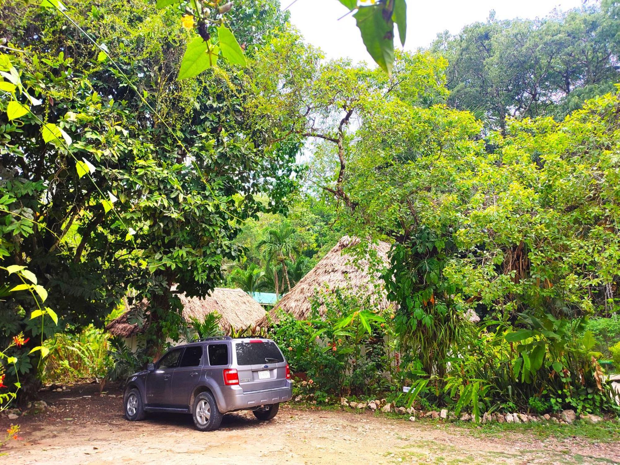Maya Mountain