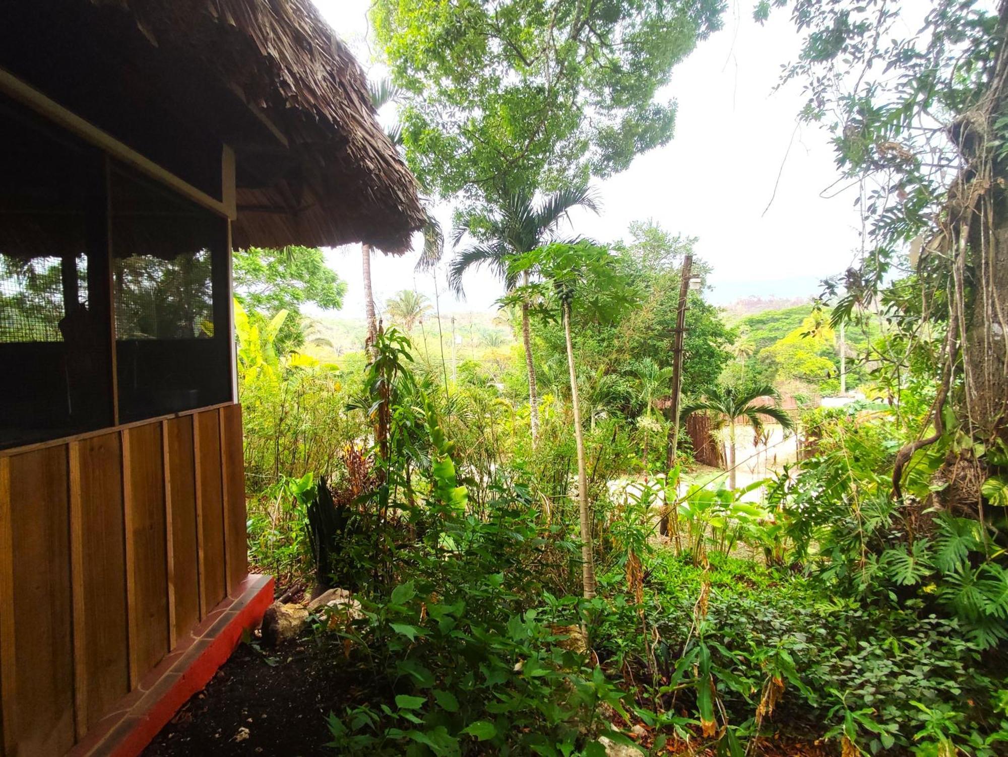 Maya Mountain Lodge *