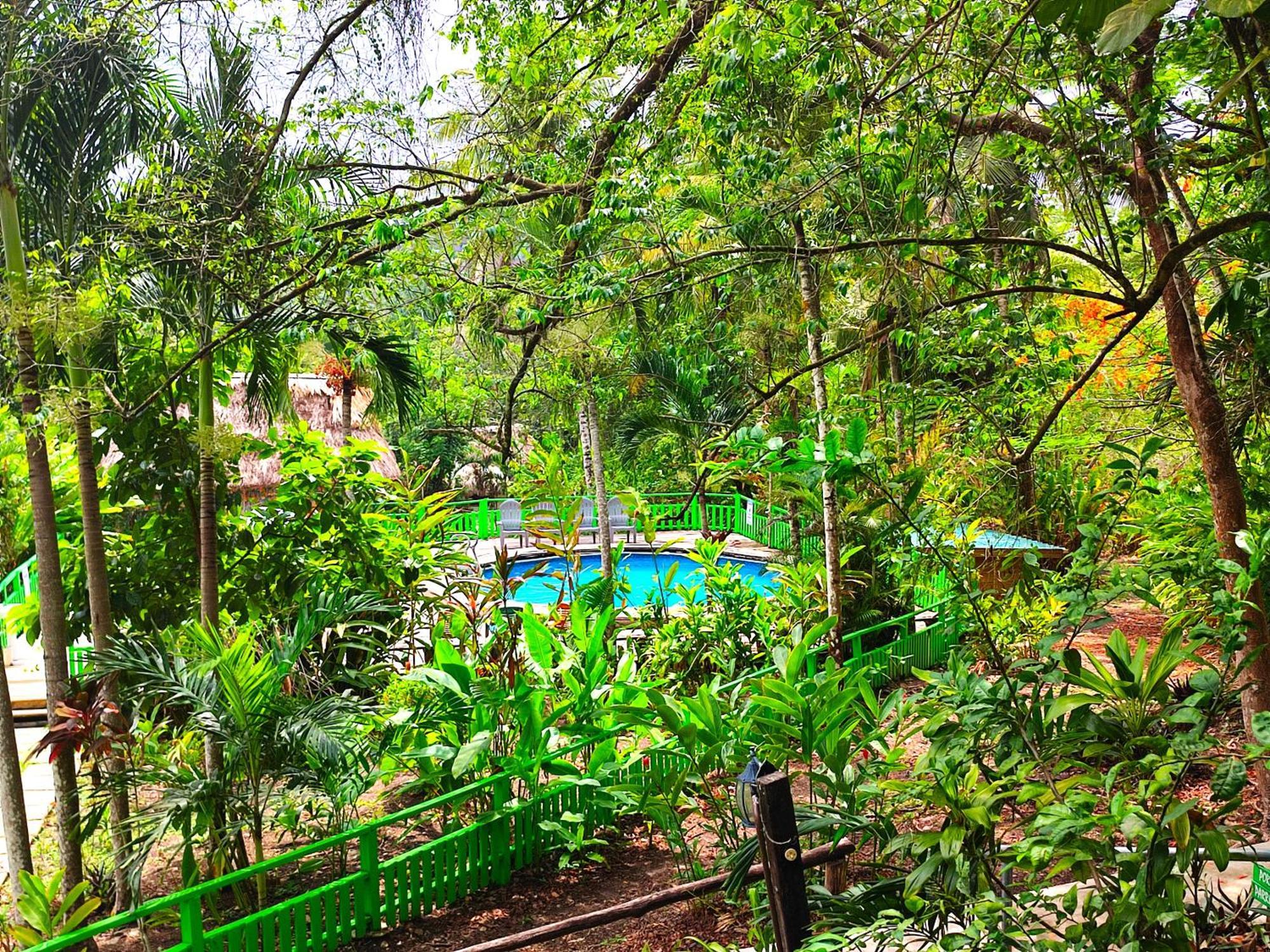 Lodge Maya Mountain *