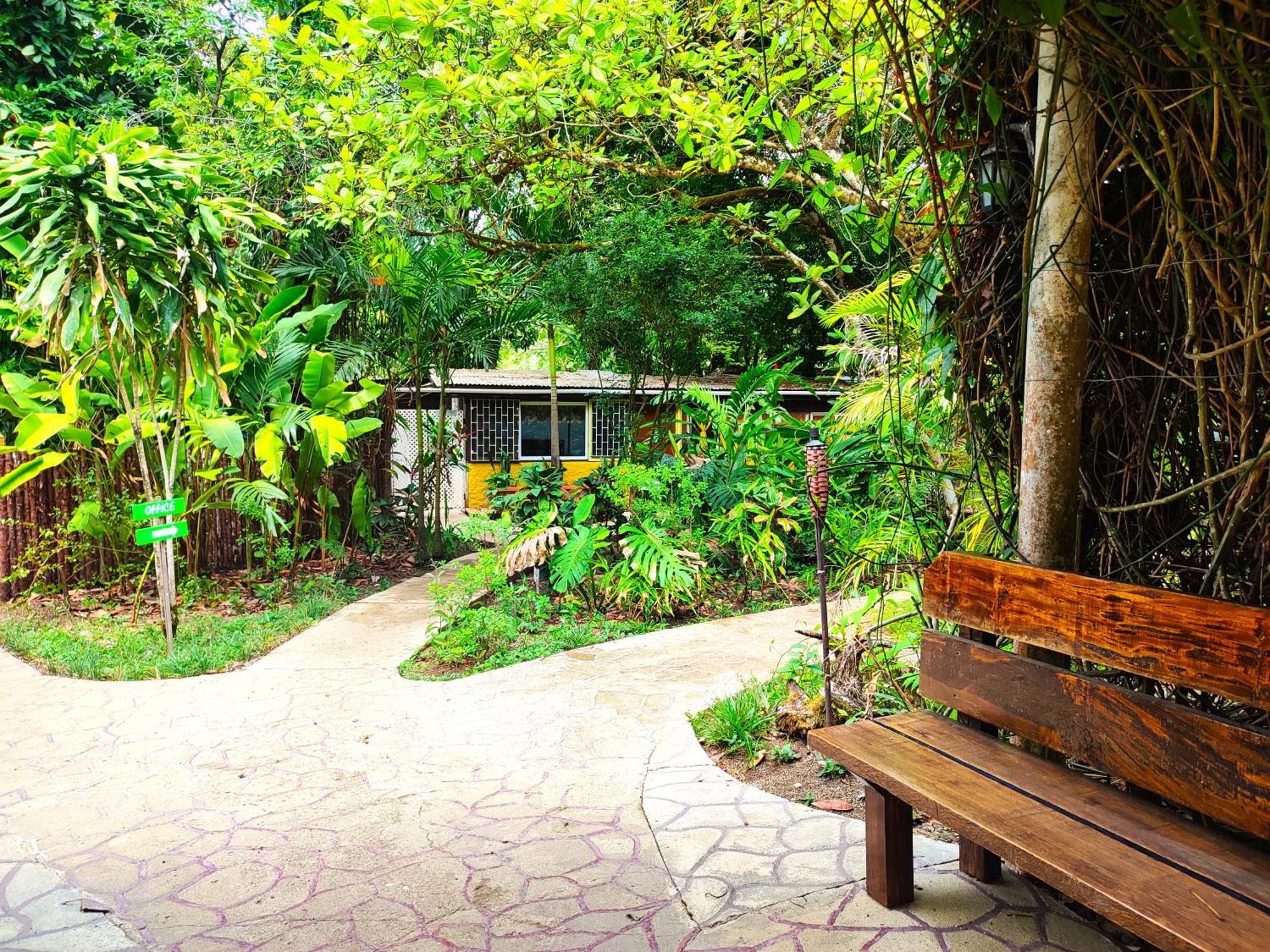 Maya Mountain * San Ignacio