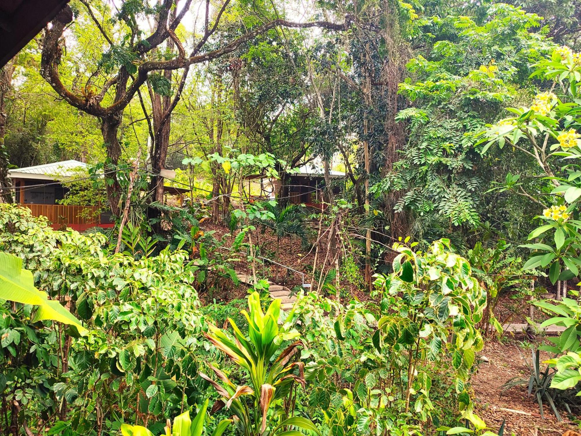 Maya Mountain San Ignacio