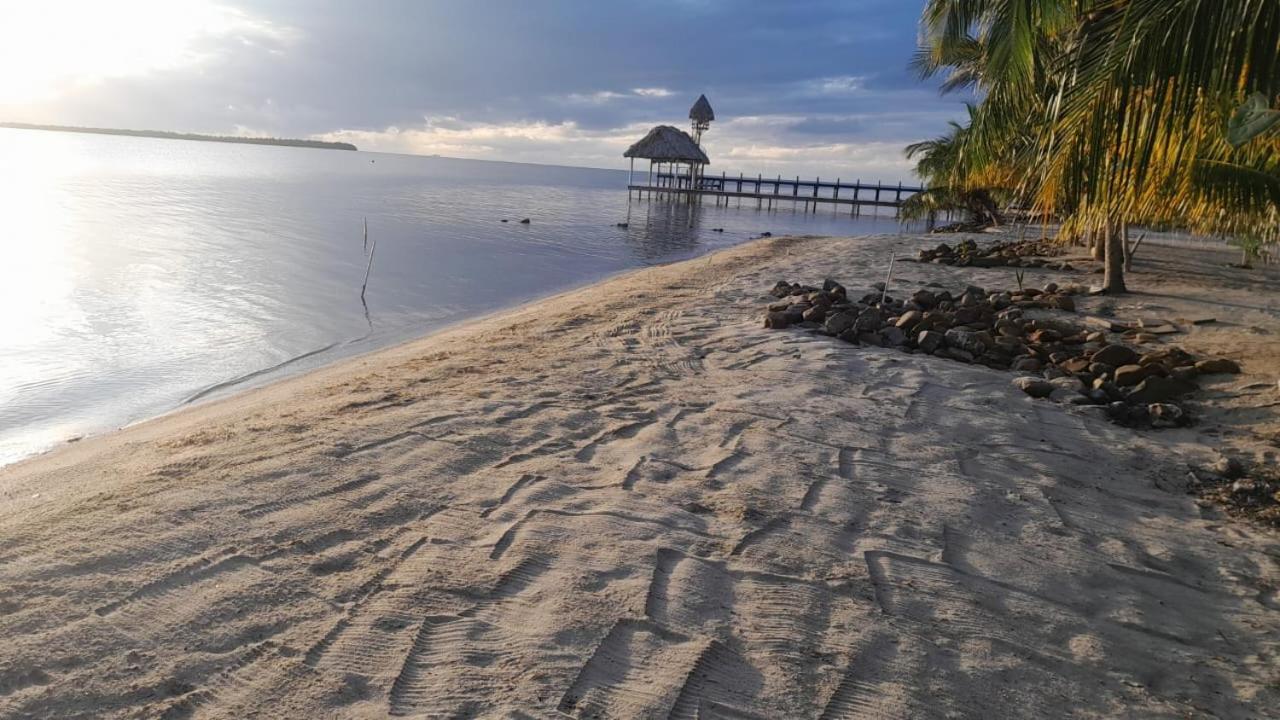 Palm & Pelican *