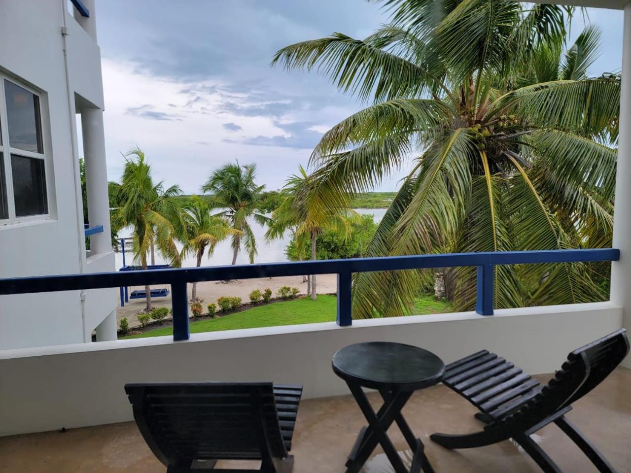 Resort Brahma Blue
