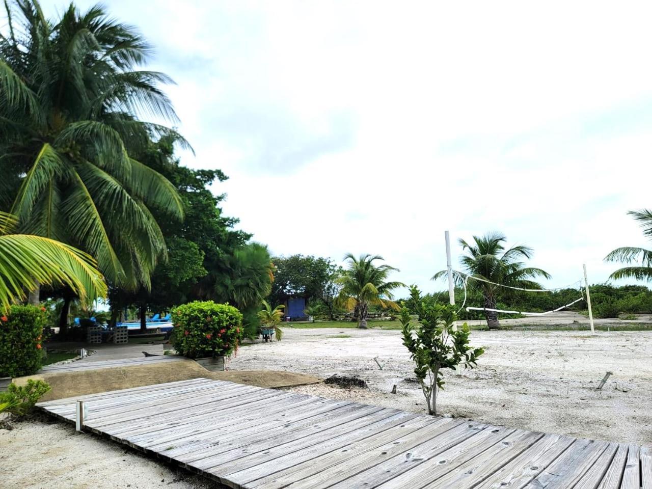 Brahma Blue San Pedro (Ambergris Caye)