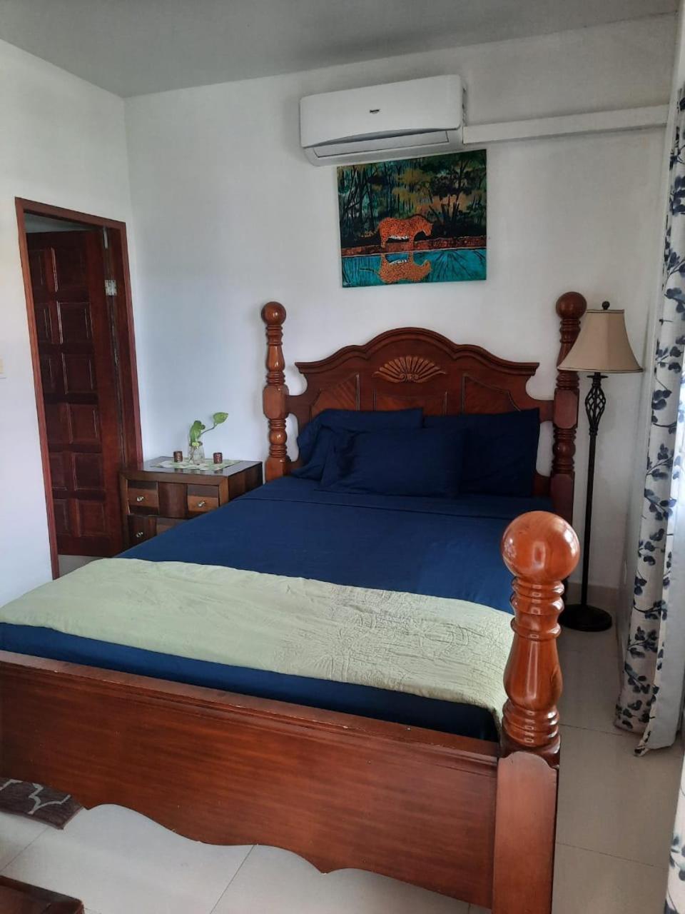 Db Tower Vacation Apartment Belize City