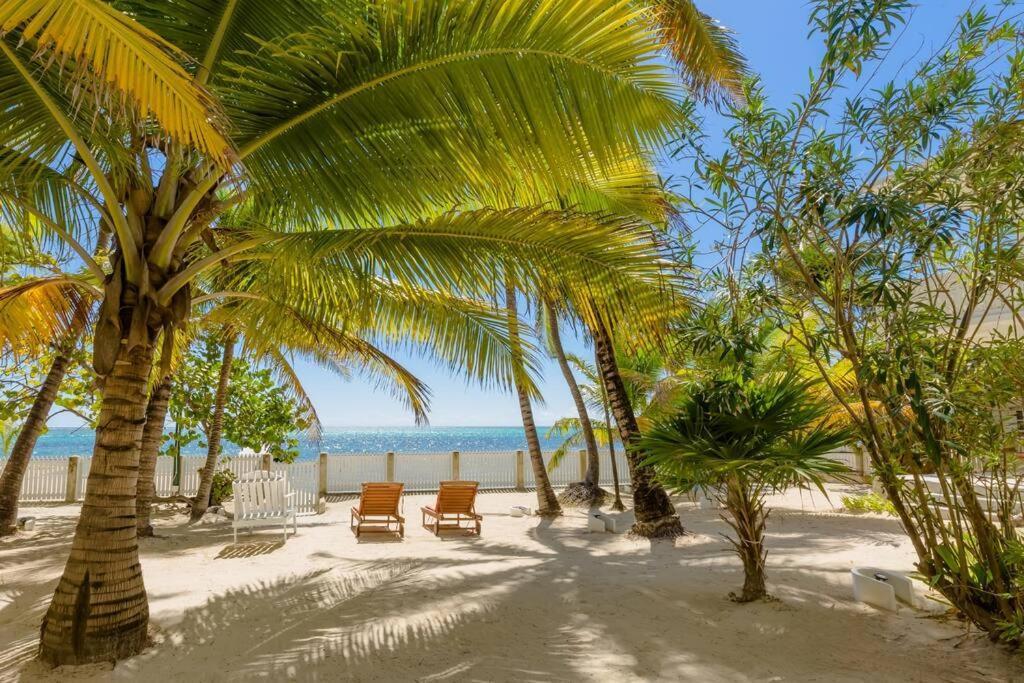 Babylon * San Pedro (Ambergris Caye)