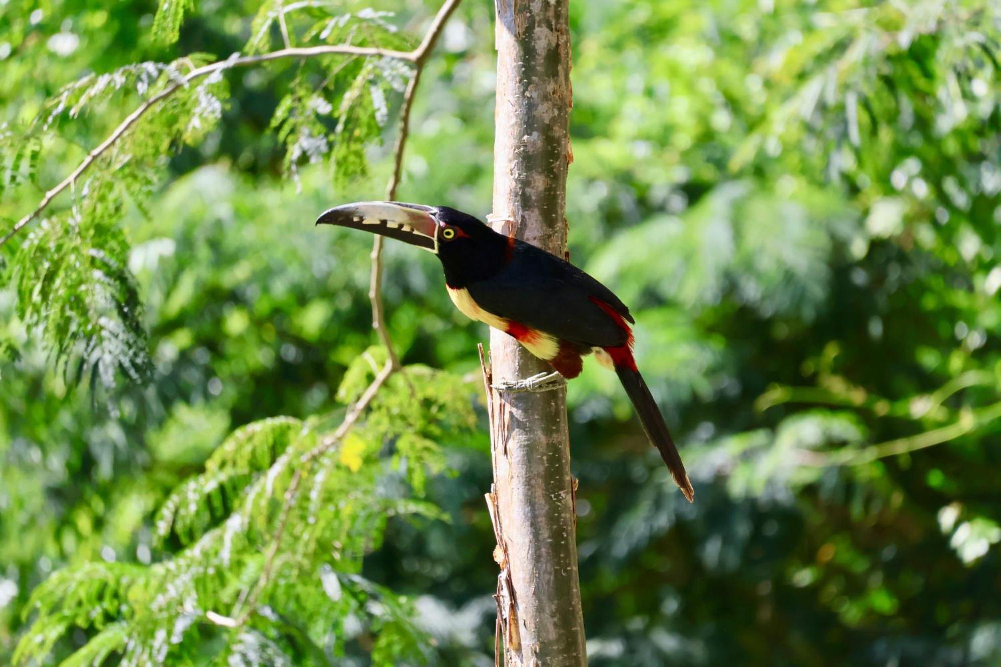 Cayo San Ignacio