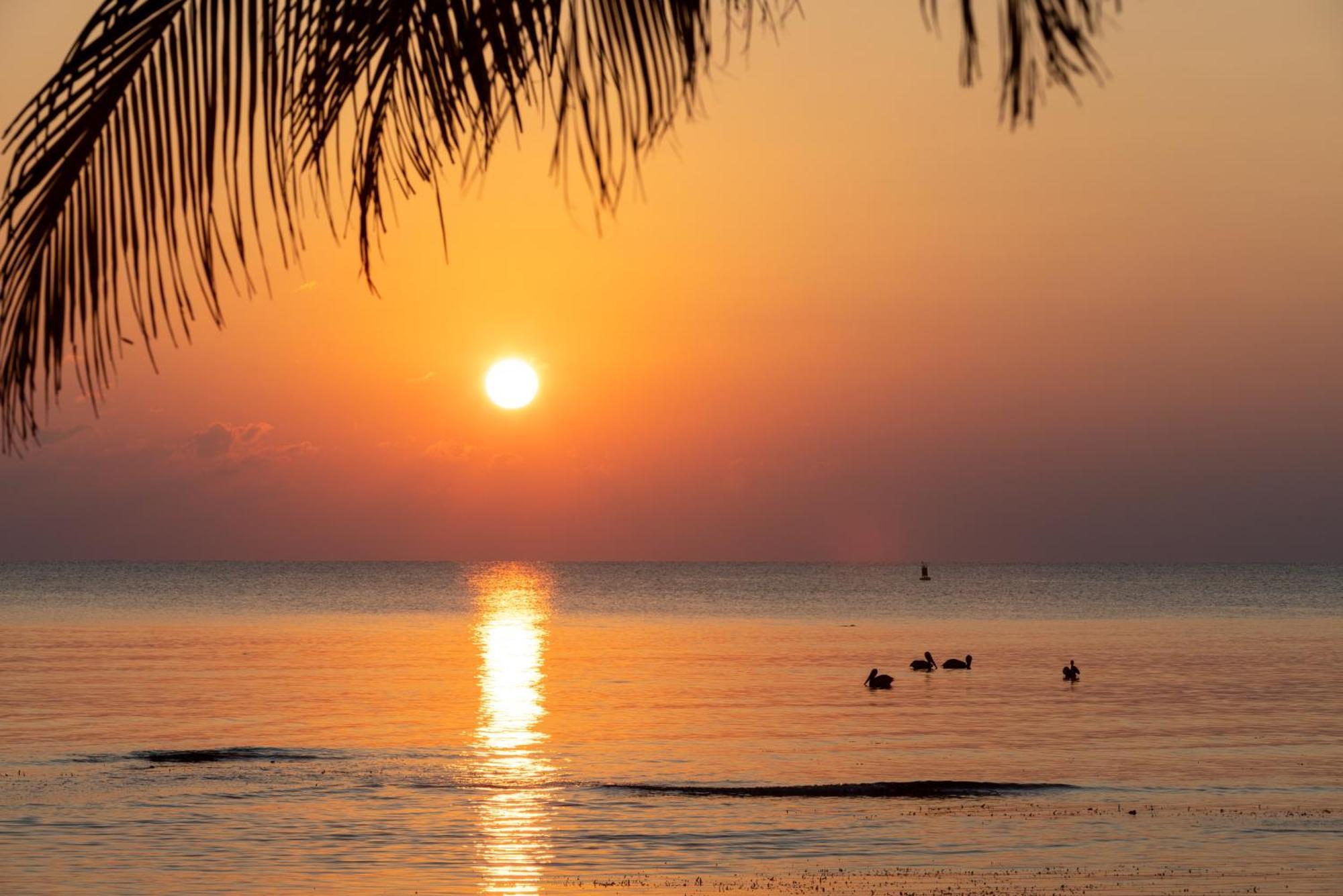 Blue Marlin Resort 3*