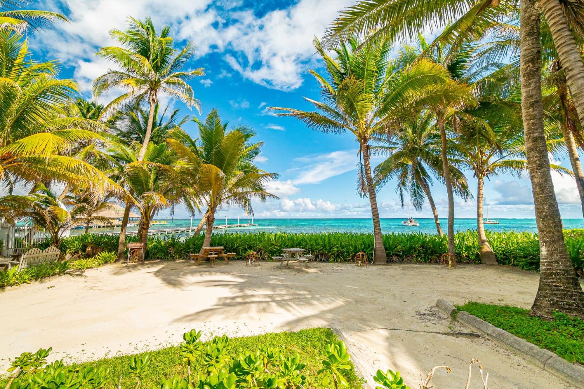 Hotel Tradewinds Paradise