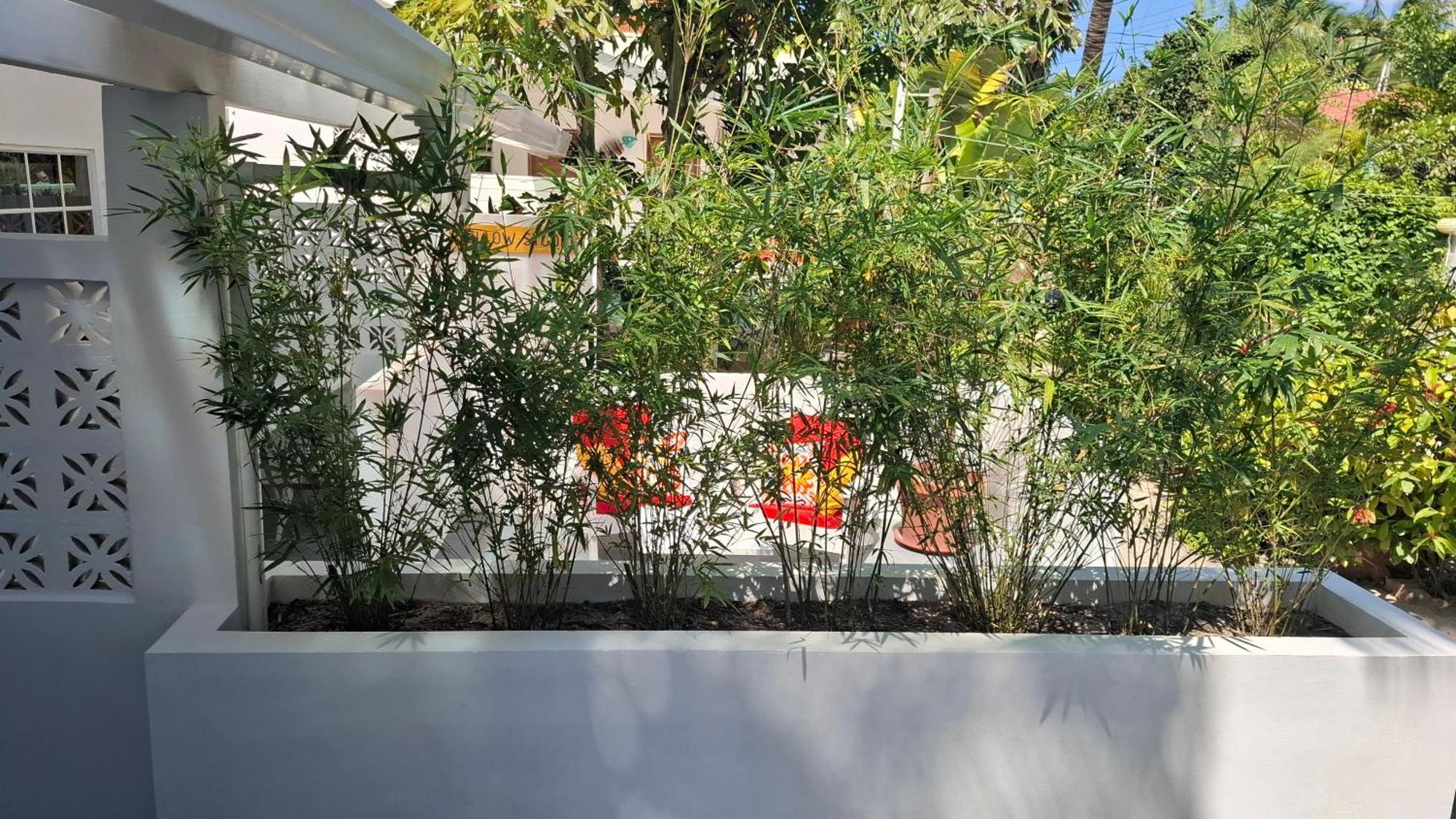 Amanda's Place - Pool And Tropical Garden Apartment