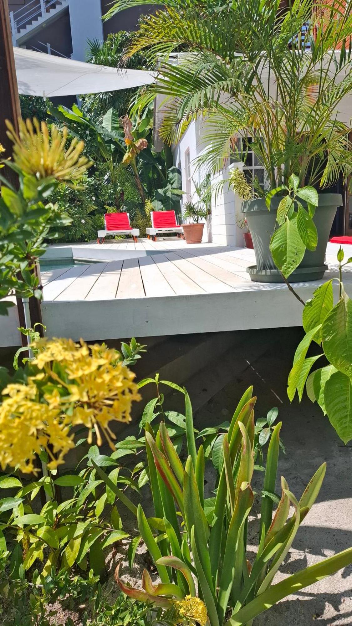 Amanda's Place - Pool And Tropical Garden Apartment *