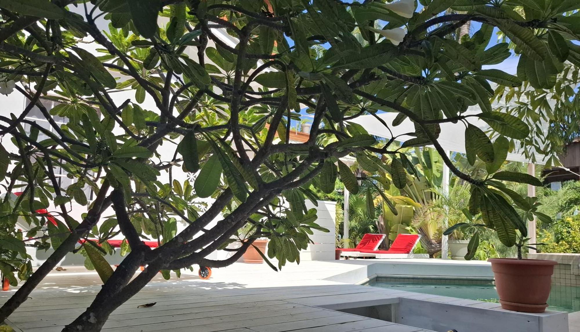 Apartment Amanda's Place - Pool And Tropical Garden