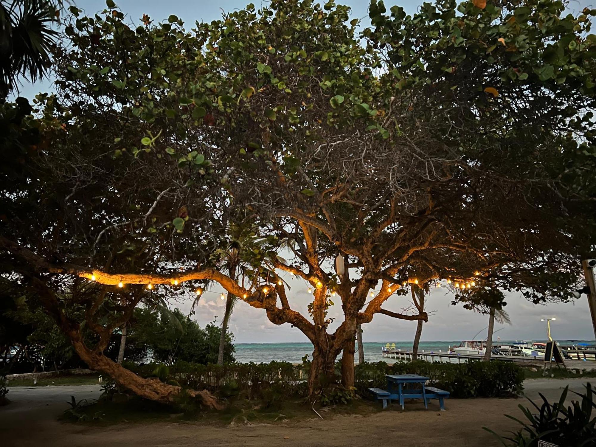 Del Rio San Pedro (Ambergris Caye)