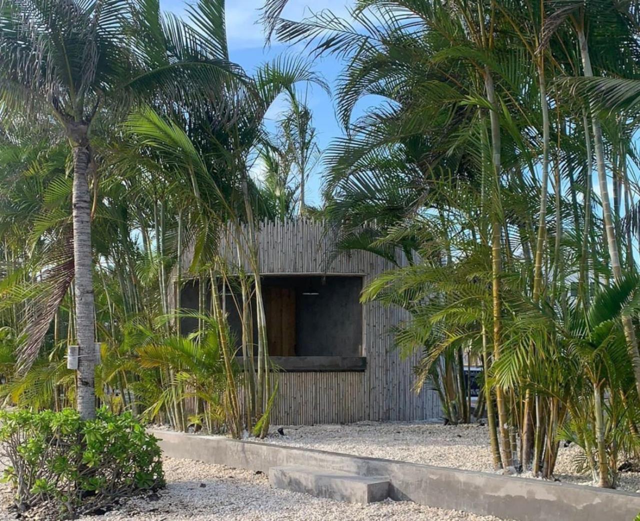Tranquility At Mahogany And The Poolclub * San Pedro (Ambergris Caye)