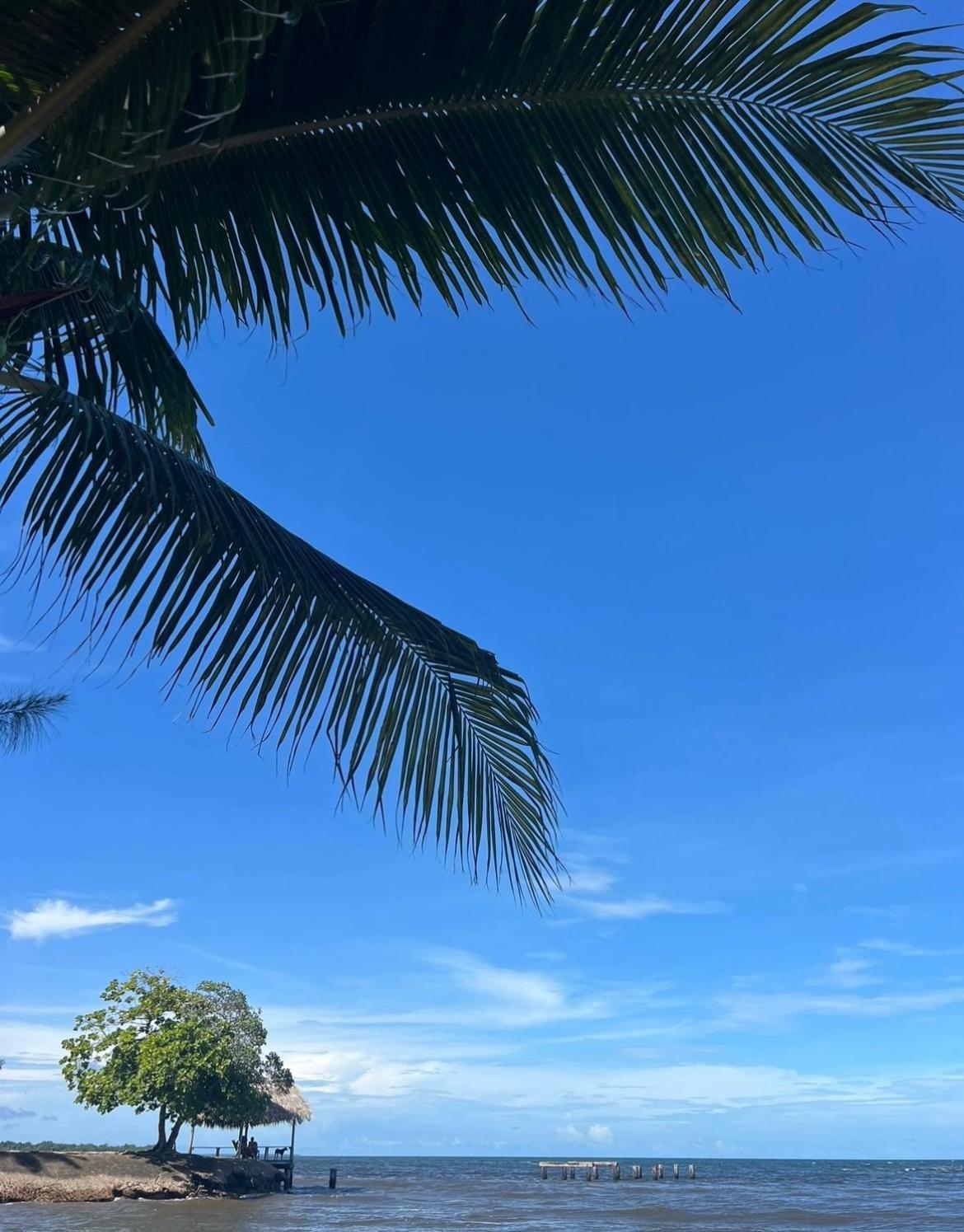 Dove Escapes - One Bedroom Front Upper Villa *