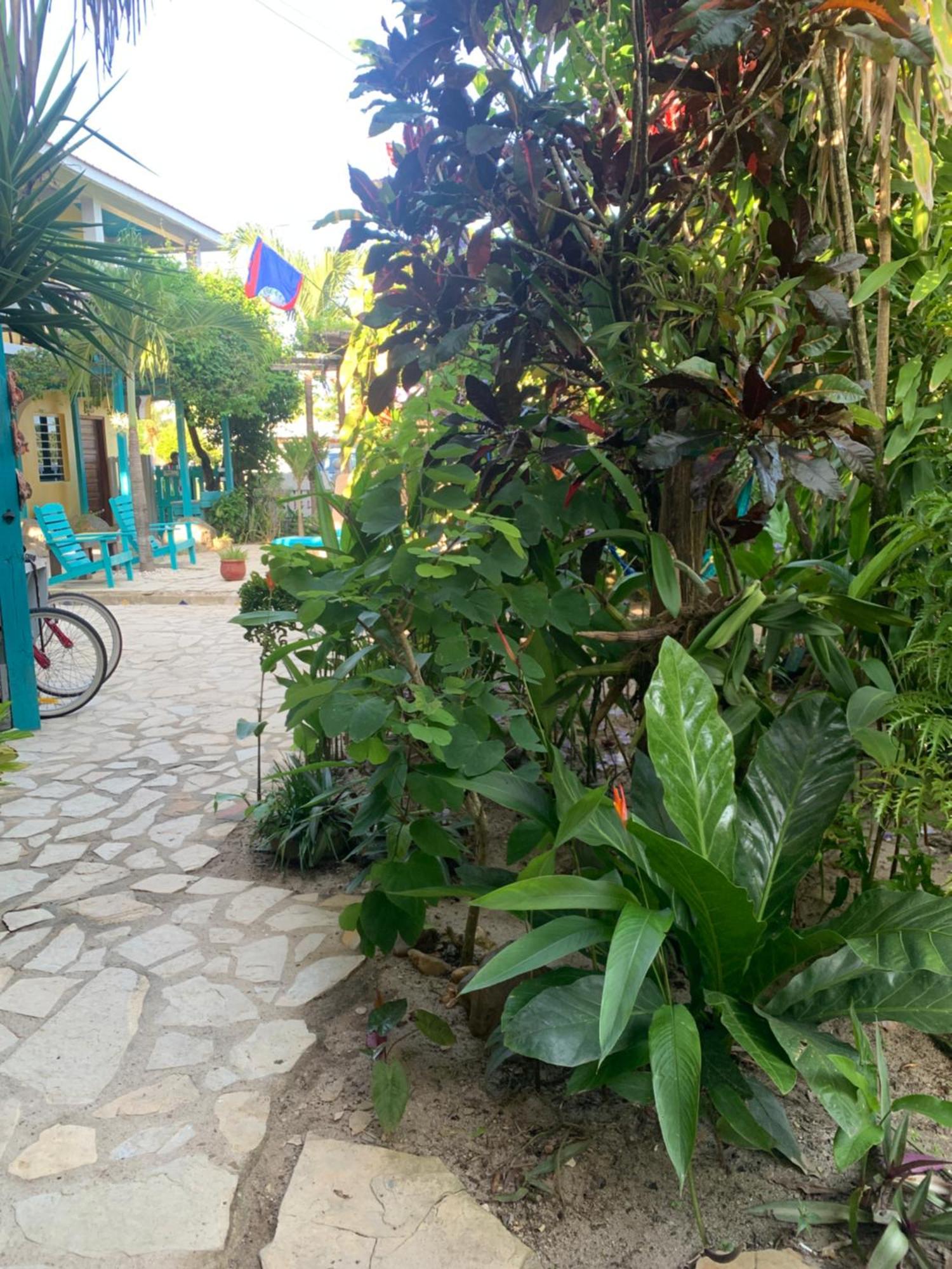 Seasons Belize Guest house